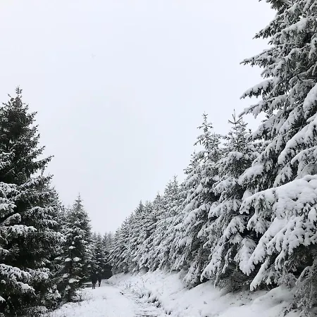 Zur Bergeshoehe - Direkt Am Waldrand In Frenkhausen Im Sauerland