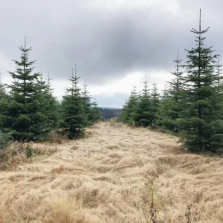 Zur Bergeshoehe - Direkt Am Waldrand In Frenkhausen Im Sauerland *