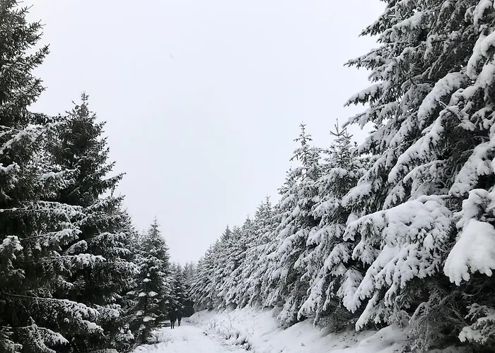 Zur Bergeshoehe - Direkt Am Waldrand In Frenkhausen Im Sauerland
