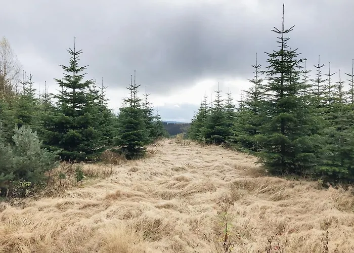 Zur Bergeshoehe - Direkt Am Waldrand In Frenkhausen Im Sauerland *